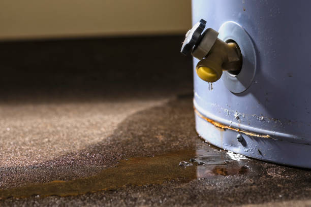 Best Ceiling water damage repair  in New Vienna, OH