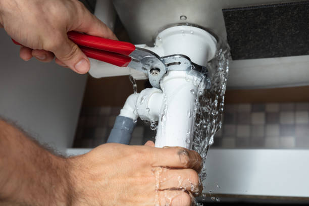 Best Mold removal after water damage  in New Vienna, OH