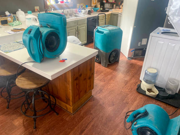 Best Water damage contractors near me  in New Vienna, OH