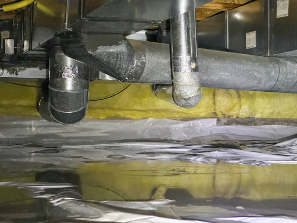 Best Local water damage restoration  in New Vienna, OH